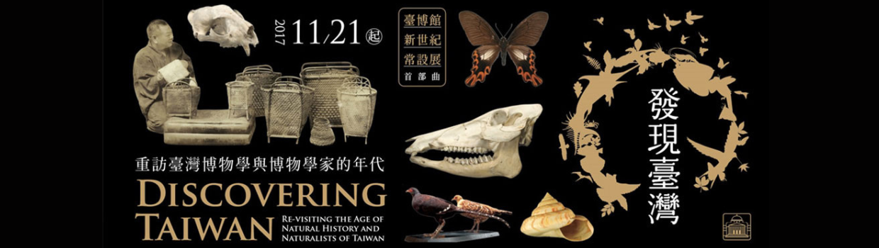 發現臺灣