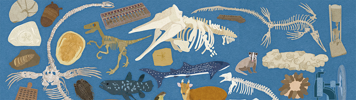 臺博好物仔（古生物館）