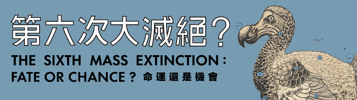 第六次大滅絕?命運還是機會特展主視覺